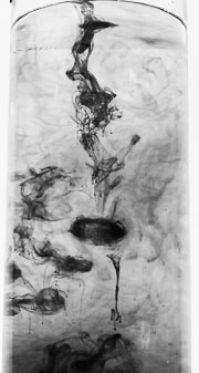 Honorable Mention : Immersed