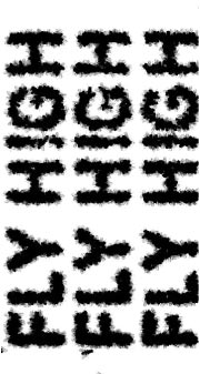 OFFICIAL SELECTION : Fly High - Time Flies