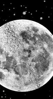 OFFICIAL SELECTION : Big Moon Hong Kong