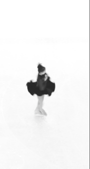 Daily Life: Missing and Dream